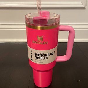 BUY NOW FOR XMAS: Stanley QUENCHER H2.0FLOWSTATE™ TUMBLER | 40 OZ Pink Parade